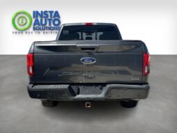 
										2019 Ford F-150 Lariat 4X4 full									