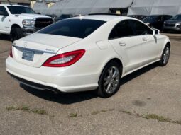
										2014 Mercedes-Benz CLS CLS 550 4MATIC AWD full									