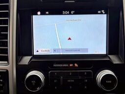 
										2019 Ford F-150 Lariat 4X4 full									