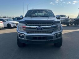 
										2019 Ford F-150 Lariat 4×4 full									