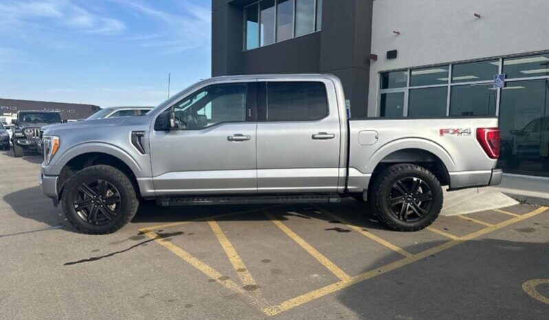 
								2021 Ford F-150 XLT 4×4 full									