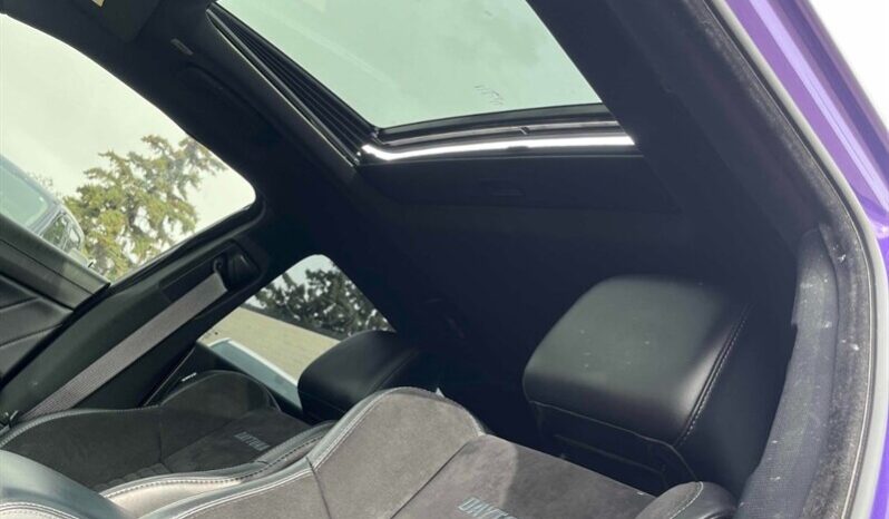 
								2023 Dodge Charger R/T Hemi full									