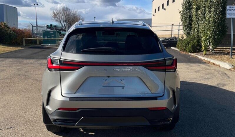 
								2024 Lexus NX 250  AWD full									