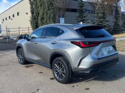 
										2024 Lexus NX 250  AWD full									