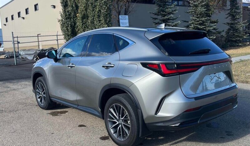 
								2024 Lexus NX 250  AWD full									