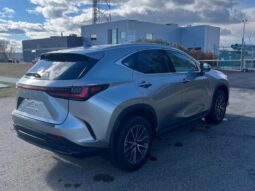 
										2024 Lexus NX 250  AWD full									