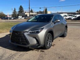 2024 Lexus NX 250  AWD