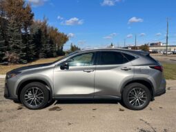 
										2024 Lexus NX 250  AWD full									
