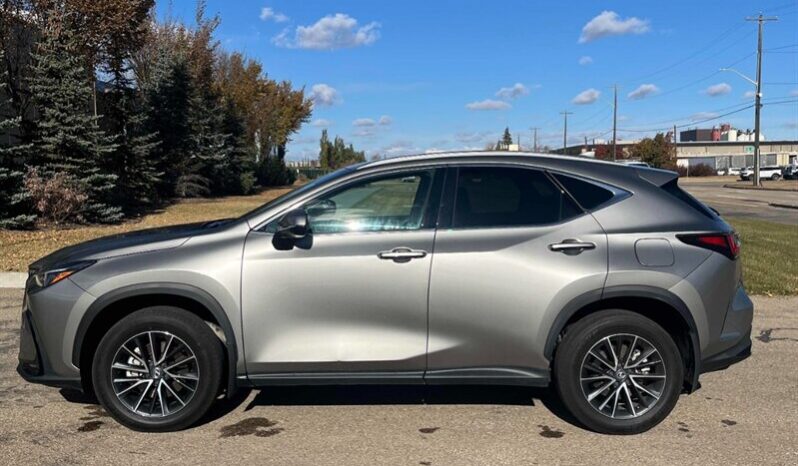 
								2024 Lexus NX 250  AWD full									