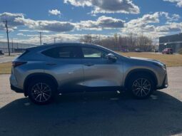 
										2024 Lexus NX 250  AWD full									