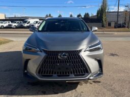 
										2024 Lexus NX 250  AWD full									