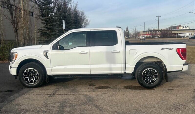 
								2021 Ford F-150 XLT Sport 4X4 full									