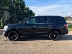 
										2020 Ford Expedition Limited 4×4 full									